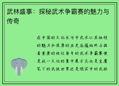 武林盛事：探秘武术争霸赛的魅力与传奇